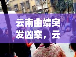 法贵必行 第2页