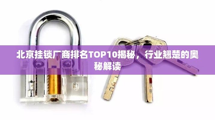 项目介绍 第220页