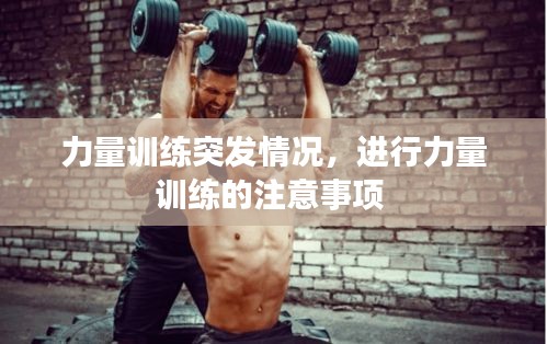 飞鸟依人 第2页