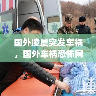 物以希为贵 第2页