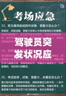 栖鸟于泉 第3页