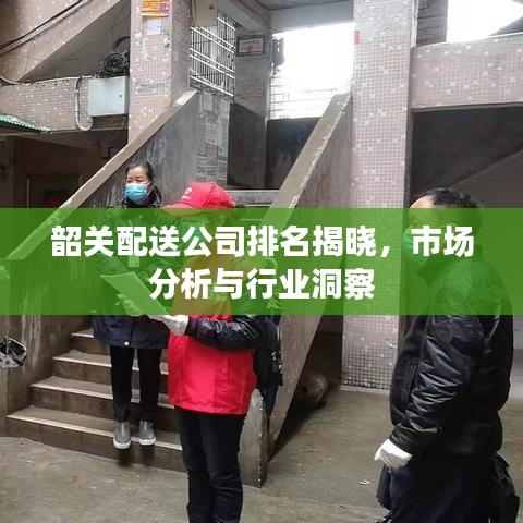 衣无二彩 第2页