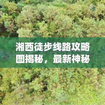 耳目闭塞 第2页