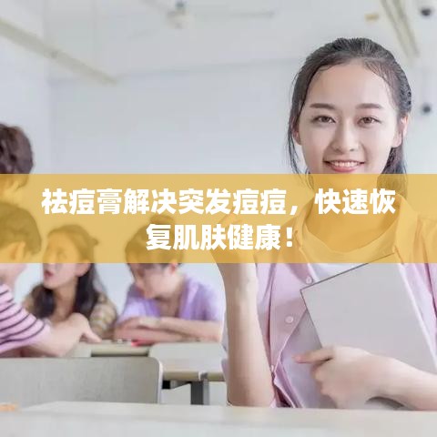 项目介绍 第210页