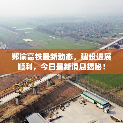 张皇铺饰 第2页