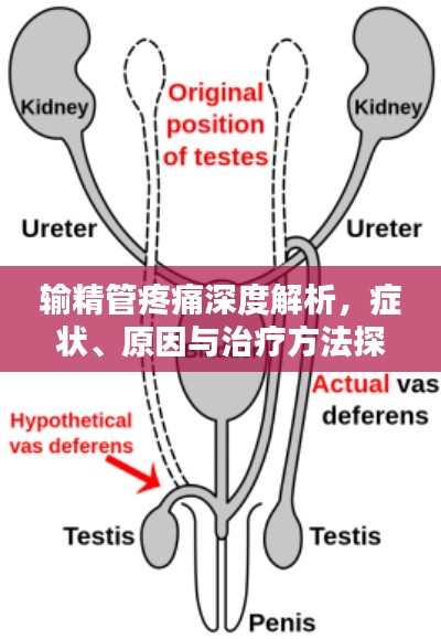 举世无双 第2页