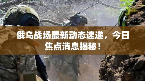 攀高接贵 第2页