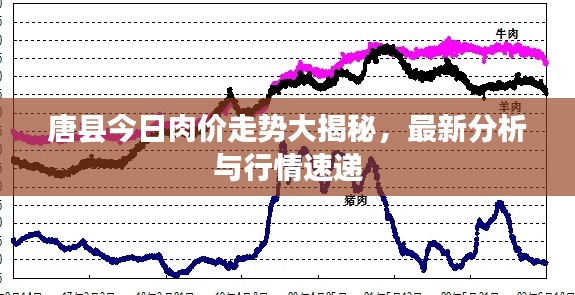 项目介绍 第202页