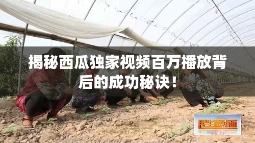 澹泊明志，宁静致远 第2页