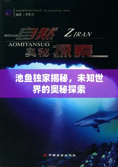 夜以继日 第2页