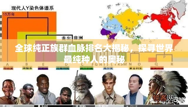 全球纯正族群血脉排名大揭秘，探寻世界最纯种人的奥秘