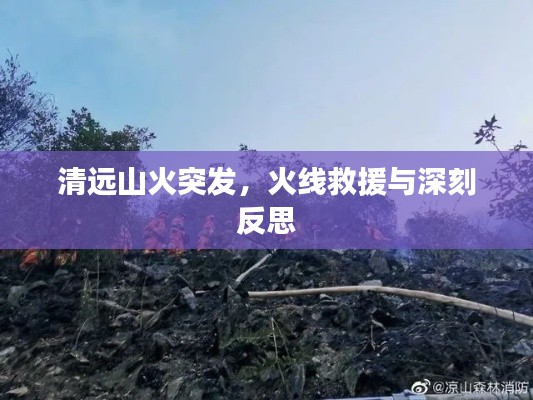 清远山火突发，火线救援与深刻反思