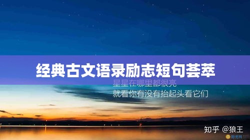 无影无踪 第2页