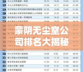 蒙阴无尘室公司排名大揭秘，权威榜单，不容错过！