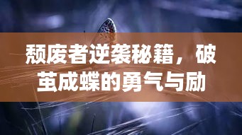 心旷神怡 第3页