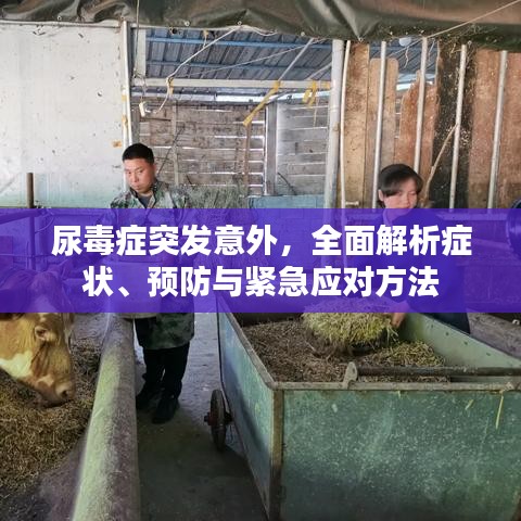 草草收兵 第3页
