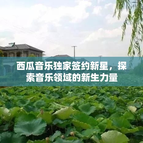 粗衣淡饭 第2页