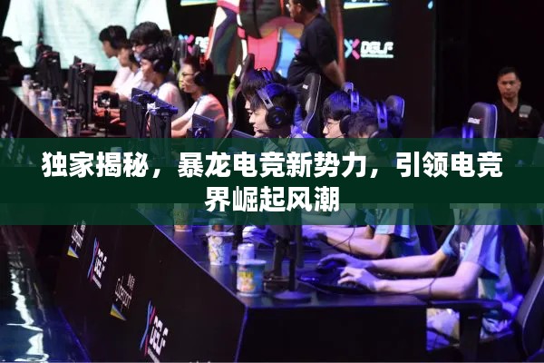 莺啼鸟啭 第2页
