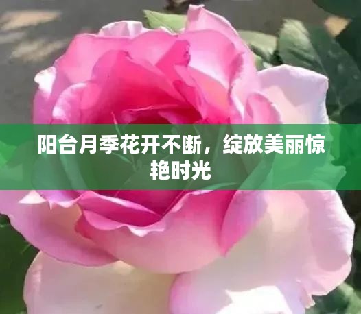富贵功名 第2页