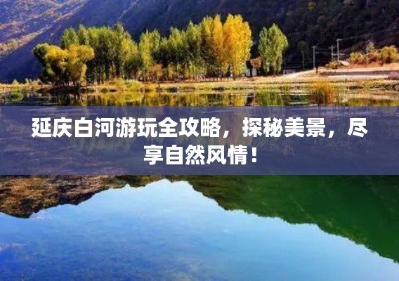 富贵不能淫 第2页