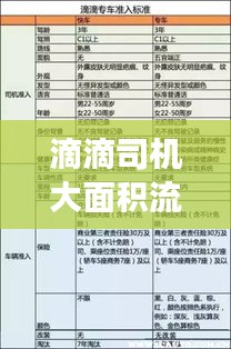 夫妻本是同林鸟 第2页