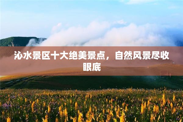 笨鸟先飞 第2页