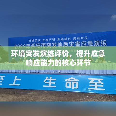 寥若晨星 第2页