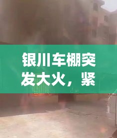 飞潜动植 第2页
