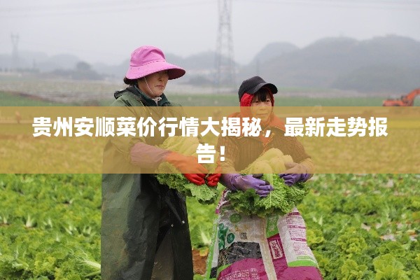 乌鸟私情 第2页