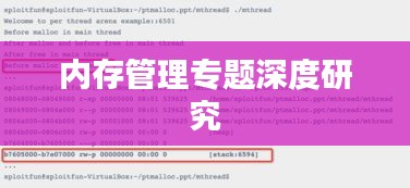 凤凰于飞 第2页