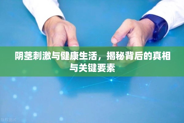 鸟惊鼠窜 第2页