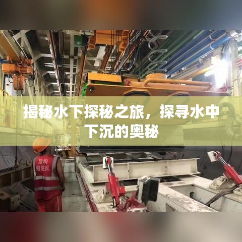 尽心竭力 第2页