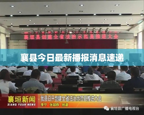 鸷鸟不群 第2页