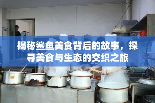 屦贱踊贵 第2页