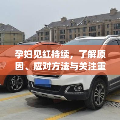 怀真抱素 第3页
