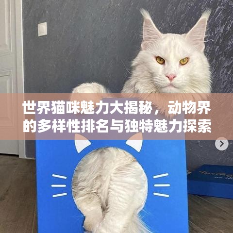 大张挞伐 第2页
