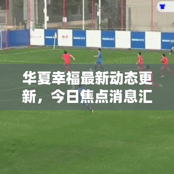 青天白日 第2页