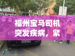 飞扬拨扈 第2页