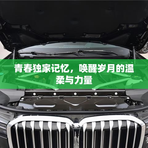 越鸟南栖 第2页