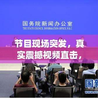 轻徙鸟举 第2页