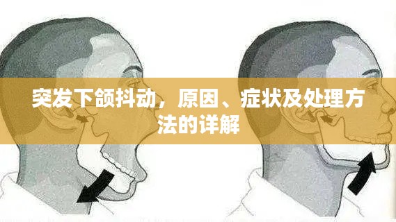 风流儒雅 第2页