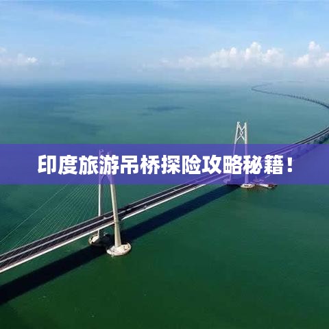 百不获一 第2页