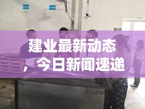 建业最新动态，今日新闻速递